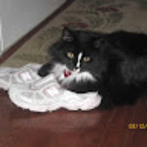 Meet your Posher, Juanita